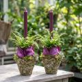 Vazonas su kaimišku miško imitacijos efektu, Ø12,5 cm, aukštis 12 cm, 2 vnt. | Floristik24.lt