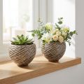 Dekoratyvinis dubuo Vazonas Keraminis Beige Rudas Ø15cm 2vnt | Floristik24.lt