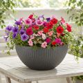 Augalų vazonas, plastikinis, antracito spalvos, Ø35cm, aukštis16.5cm | Floristik24.lt