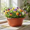 Apvalus plastikinis vazonas Ø23cm, aukštis 10cm, terakotos spalvos, 5 vnt. | Floristik24.lt