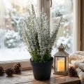 Erika baltųjų viržių šluotos viržių dirbtinis augalas H26cm | Floristik24.lt