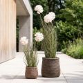 Dirbtinės gėlės dekoratyvinis rutulinis gėlė aliuminis dekoratyvinis svogūnas dirbtinis 54cm | Floristik24.lt