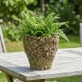 Vazonas su samanų imitacija, kaimiškas, Ø17 cm, aukštis 16,5 cm | Floristik24.lt