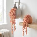 Kabantis sedumas 'Rubin' – dekoratyvus, lengvai prižiūrimas sukulentas 43 cm 3 vnt. | Floristik24.lt
