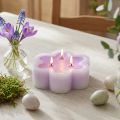 Trijų dagčių žvakė kaip gėlių žvakė violetinė balta Ø11,5cm H4cm | Floristik24.lt