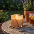 Kvapi žvakė stiklinėje Citronella retro dizaino žvakė Ø8cm H8cm | Floristik24.lt