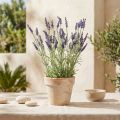 Dirbtinis levandų krūmas violetinis 51cm | Floristik24.lt