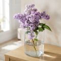 Stiklinė vaza skaidri cilindrinė Ø12cm H20cm | Floristik24.lt