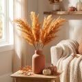 Dirbtinės pampų žolės, oranžinės spalvos, džiovintos žolės, 35 cm, 4 vnt. | Floristik24.lt