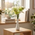 Dirbtinės orchidėjų dirbtinės gėlės vazoje balta/žalia 28cm | Floristik24.lt