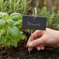 Natūralaus šiferio plokštės Plug Plant Signs Juodi 25cm | Floristik24.lt
