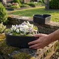 Dubenėlio širdies plastikinis dekoratyvinis dubuo antracitas 24/21cm rinkinys iš 2 vnt | Floristik24.lt