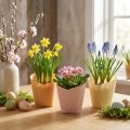 Sodinamojo popieriaus austa vanilė, oranžinė, rožinė Ø7cm H13cm 12 vnt. | Floristik24.lt