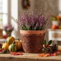 Vilna 8cm 25m ruda | Floristik24.lt