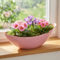 Augalų valtis plastikinis gėlių dubuo rožinis 28×9×9cm 3vnt | Floristik24.lt