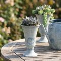 Dekoratyvinė taurė, antikvarinė balta mėlyna metalinė stalo dekoracija, Ø11cm, aukštis 17.5cm | Floristik24.lt