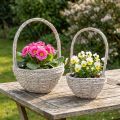 Dviejų dalių augalų krepšelių rinkinys, šiaudinis, natūralios spalvos, baltas, Ø23/28, „shabby chic“ rašto | Floristik24.lt