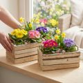 Medinis vazonas su natūralia žieve ir rankena, ilgis 29 cm / 23 cm, 2 vnt. rinkinys. | Floristik24.lt