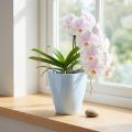 Orchidėjų vazonas blizgus Ø12,5cm baltas 1 vnt | Floristik24.lt