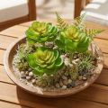 Echeveria dirbtiniai sukulentai Green Ø7cm 6 vnt | Floristik24.lt