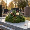 Samanų tinklelis 1/2 30 vnt | Floristik24.lt