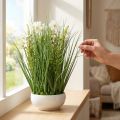 Dekoratyvinė žolė su Cosmea gėlėmis dubenyje H45cm | Floristik24.lt