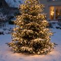 LED ryžių šviesos grandinėlė šiltai balta lauko 720er 54m | Floristik24.lt