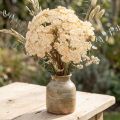 Dirbtinės kraujažolės kreminės spalvos dirbtinės Achillea gėlės 30cm 6 vnt. | Floristik24.lt