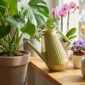 Laistytuvas patalpoms, alyvuogių žalios spalvos, retro stiliaus, 24,5 cm, 1,8 l, dizainerio laistytuvas, plastikinis, augalų laistymui | Floristik24.lt