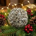 Kalėdų puošmena Kalėdinis rutulys baltas sniego gniūžtė Ø10cm | Floristik24.lt