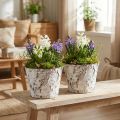 Dekoratyvinis vazonas balinto beržo augalų vazonas Ø18cm H15cm 2vnt | Floristik24.lt