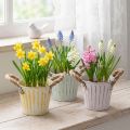 Sodinimo kibiras, metalinis vazonas su rankenomis, dekoratyvinis vazonas, rožinės/žalios/geltonos spalvos, „shabby chic“, Ø12 cm, aukštis10 cm, 3 vnt. rinkinys | Floristik24.lt