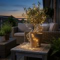 LED fėjų šviesų laidinis pasakų žibintų laikmatis lauke 180cm | Floristik24.lt