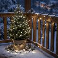 LED ryžių šviesos grandinėlė 80s 6m lauko juodai/baltai | Floristik24.lt