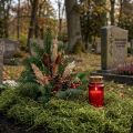 Dekoratyvinė samanų džiovintų miško samanų žalia natūrali dekoracija 300g | Floristik24.lt