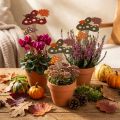 Gėlių lazdelė musmirė Dekoracija Ežiukui Rudens dekoracija 8cm 12 vnt | Floristik24.lt