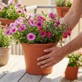 Puodas “Irys” plastikinis terakotinis Ø29cm H24cm 1 vnt | Floristik24.lt