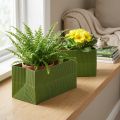 Gėlių sodintuvas Long Ribbed Green Olive Green 24x12cm 6 vnt | Floristik24.lt