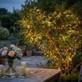 LED ryžių šviesos grandinėlė 360 27m šiltai balta lauke/viduje | Floristik24.lt