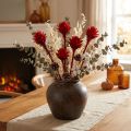 Plumosum 1 Red 25 vnt | Floristik24.lt