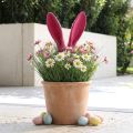 Dekoratyvinės zuikio ausytės rožinės Velykų flokuota lazdele H56cm | Floristik24.lt