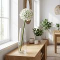 Dekoratyvinė gėlė Allium, dirbtinis rutulinis poras, dekoratyvinis svogūnas baltas Ø20cm L72cm | Floristik24.lt