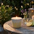 Citronella žvakė vazonėlyje keraminis geltonas kremas Ø8,5cm | Floristik24.lt