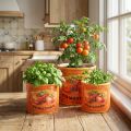 Pomidorų vazonų rinkinys, keraminiai dekoratyviniai gėlių vazonai virtuvei ir retro dekorui, 14 cm, 3 vnt. rinkinys | Floristik24.lt