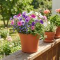 Vazonas „Irys“ plastikinis terakotinis Ø17cm A14cm 1 vnt. | Floristik24.lt