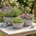 Pinti augalų krepšeliai, baltai pilki, „shabby chic“ stiliaus dekoracijos, 3 dalys | Floristik24.lt