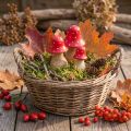 Musmirės dekoratyviniai grybai, mediniai grybai, rudens dekoracijos, aukštis 6/8/10 cm, 3 vnt. rinkinys | Floristik24.lt