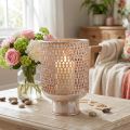 Žibintas metalinis žvakidės stiklas sidabrinis rožinis Ø18cm H27cm | Floristik24.lt