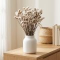 Baltosios jūros levandos (Limonium) džiovinti žiedai, 60 cm, 35 g | Floristik24.lt