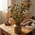 Braškių usnio džiovinta dekoracija, alyvuogių žalia, Ø1–2cm, I55cm, 100g | Floristik24.lt